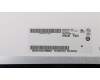 5D10H11015 Lenovo DISPLAY AUO B116XTN02.3 2B HD AG S NB