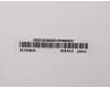 5D10S39635 Lenovo DISPLAY LCD Module B 11HD W/G-sensor
