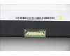 5D10S39696 Lenovo DISPLAY LCD Module L 82H9 HD