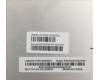 5D10S39702 Lenovo DISPLAY LCD MODULE H 82CY