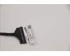 5D10S39731 Lenovo DISPLAY LCD MODULE H82QQYogaUmaSG 60HZ
