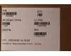 5D10S39808 Lenovo DISPLAY LCD MODULE L 82QG SG