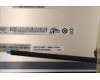 5D10S39867 Lenovo DISPLAY LCDMODULEL82QF w/strip cover SG