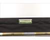 5D10S39874 Lenovo DISPLAY LCD Module L 82UT Mutto+SDC OGL