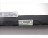 5D10S39980 Lenovo DISPLAY LCD MODULE L 82RL