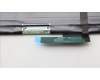 5D10S40050 Lenovo DISPLAY LCD MODULE W 21KJ LAB+ BOE