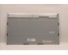 5D10W33975 Lenovo DISPLAY BOE MV238QHM-NX0-485Z 100hz