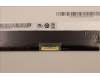 5D10X54254 Lenovo Display FRU AUO B116XTN02 5 1A, 11.6 Zoll HD