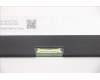 5D10Z77954 Lenovo DISPLAY FRU INX N116BGE-EA2 C5 11.6 HD