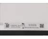 5D10Z77954 Lenovo DISPLAY FRU INX N116BGE-EA2 C5 11.6 HD