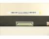 5D11B60609 Lenovo DISPLAY FRU BO NE160QDM-N62 V8.0 2.5K AG