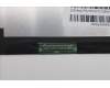 5D11C95951 Lenovo DISPLAY FRU DISPLAY 14.5WQXGANTFCCCSO