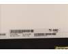 5D11D03909 Lenovo DISPLAY FRU HKC MB116AN01-2 11.6 HD