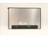 5D11E22253 Lenovo DISPLAY FRU NE160QDM-N63 V8.0 Color BOE