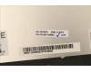 5D11E22253 Lenovo DISPLAY FRU NE160QDM-N63 V8.0 Color BOE