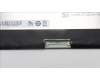 5D11K54919 Lenovo DISPLAY FRU AUO B156HAN15.0 H/W:1A 15.6
