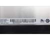 5D11K54919 Lenovo DISPLAY FRU AUO B156HAN15.0 H/W:1A 15.6