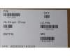 5D11L40981 Lenovo DISPLAY FRU MNG007DA2-3 16WQX ColorCSO