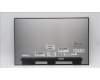 5D11L55842 Lenovo DISPLAY FRU MNG007DA1 16WQX CSO FCC2