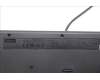 5D50U84633 Lenovo DT_KYB Tra USB AI KB BLK_GR-US