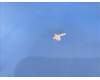 5D78C23608 Lenovo TB330 R-camera cloth&*HQ25803000820 CS