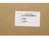 5F10S13907 Lenovo Systemlüfter L 81WA
