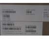 5F10S14184 Lenovo FAN FAN L 21N9 AVC