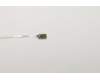 5F30W90821 Lenovo FINGER_PRT FP BD C 81NF W/FFC_COPPER