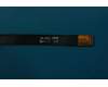 5F78C06098 Lenovo PB2-650 Main FPC&*713300097011 CS