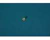 5F78C06228 Lenovo PB2-670 3rd MIC FPC&*66800892 CS