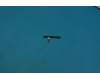 5F78C07061 Lenovo YB-Q501 Side key FPC&*HQ22010382000 CS