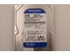 5H21C73429 Lenovo HDD_ASM FRU WD 3.5\'\' 7200 XL2000S 2T