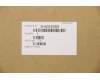 5H40S20008 Lenovo Kühler L 82C6 GV451