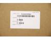 5H40S20064 Lenovo Kühler W 81X2