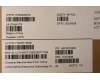 5H40S20070 Lenovo Kühler L 81WQ TAISOL
