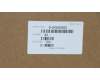 5H50K85932 Lenovo Scharnier W 80RU rechts und links