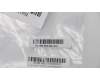 5H50S28896 Lenovo Scharnier C 81N8 rechts und links