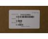 5H50S28902 Lenovo HINGE Hinge L+R Glass H 81NE