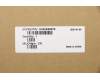 5H50S28976 Lenovo Scharnier Links 82BG UHD mit B MICA
