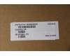 5H50S29046 Lenovo HINGE Hinge W 21AT R+L