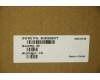 5H50S29077 Lenovo HINGE Hinge C 21DM R&L AB