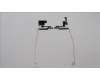 5H50S29096 Lenovo HINGE Hinge L 82XB L+R