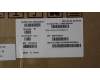 5H50S29112 Lenovo HINGE Hinge R&L C 82XD PL