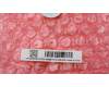 5H50S29114 Lenovo HINGE Hinge R&L C 82XF PL