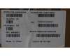 5H50S29186 Lenovo HINGE Hinge R&L C 83SG