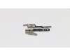 5H50S73123 Lenovo HINGE Hinge W 81J0