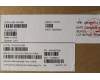 5M11C43260 Lenovo MECH_ASM KB C EUROENG(TSG)PT FP US BK