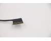 5M11C53215 Lenovo MECH_ASM 14\"WUXGA,TCH,IR,BK,INX