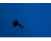 5M48C03566 Lenovo YT3-X50 Mic&*26208078 CS