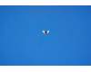 5M88C00410 Lenovo A7-30 Batt Con frame&*HQ20900031000